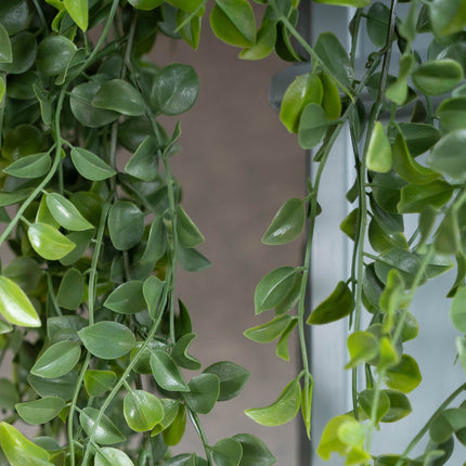 Hanging plants XL - 4 pcs - Artificial Plants - Bundle set