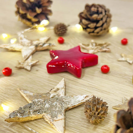 Christmas Terrarium Decoration Kit!