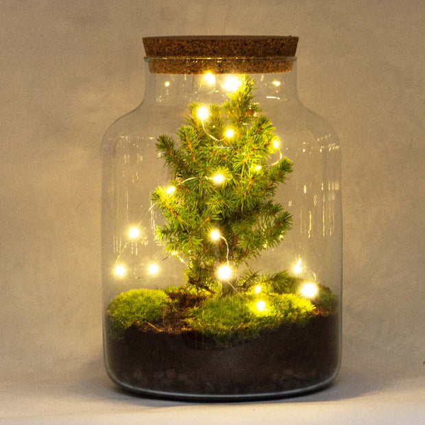 Banner image for: <h2>Kerst</h2>