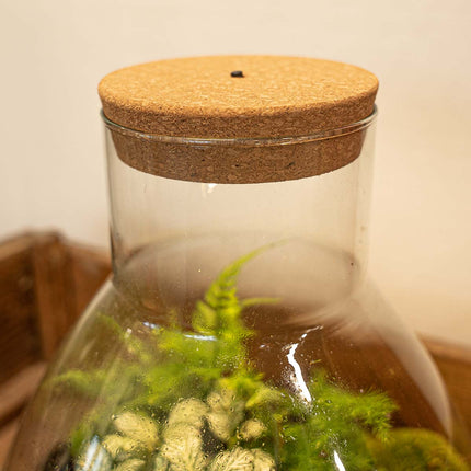 Cork with led Small - Terrarium cork with light - Customizable -  10.3 x 9 x 2.7 cm