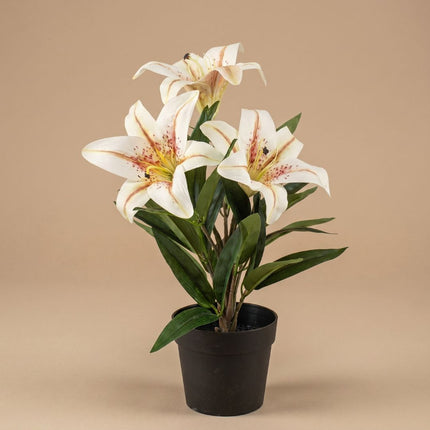 Lily in pot - Cream - Artificial plant - ↑ 33 cm