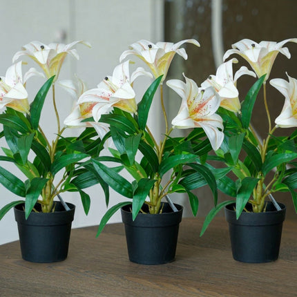 Lily cream 3 pcs - Artificial Plants - Bundle set