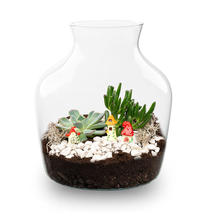 Little Joe Succulent - Open terrarium - Bottle garden DIY kit - Ø 20 cm ↑ 22 cm