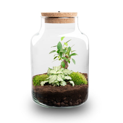 Little Milky - Bonsai - Terrarium with light - Bottle garden DIY kit - Ø 17 cm ↑ 25 cm
