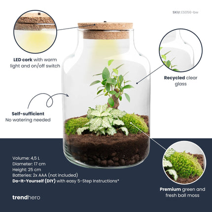Little Milky - Bonsai - Terrarium with light - Bottle garden DIY kit - Ø 17 cm ↑ 25 cm