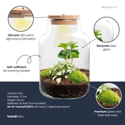 Little Milky - Fittonia + Coffea - Terrarium with light - Bottle garden DIY kit - Ø 17 cm ↑ 25 cm