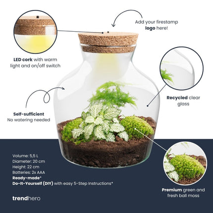 Terrarium Little Joe - Ø 20 cm ↑ 22 cm - Relatiegeschenk