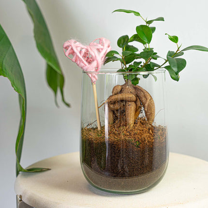 Vase Martin - DIY kit - ↑ 17 cm