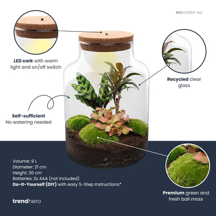 Milky Palm - Terrarium - Bottle garden DIY kit - Ø 21 cm ↑ 30 cm