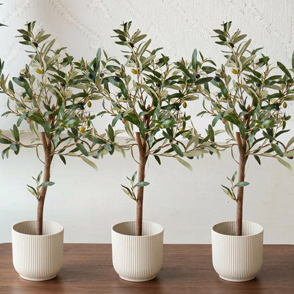 Mini Olive tree set - 3 pcs - Artificial Plants - Bundle set