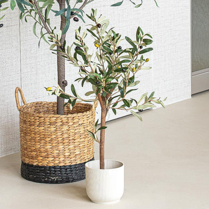 Mini Olive tree set - 3 pcs - Artificial Plants - Bundle set