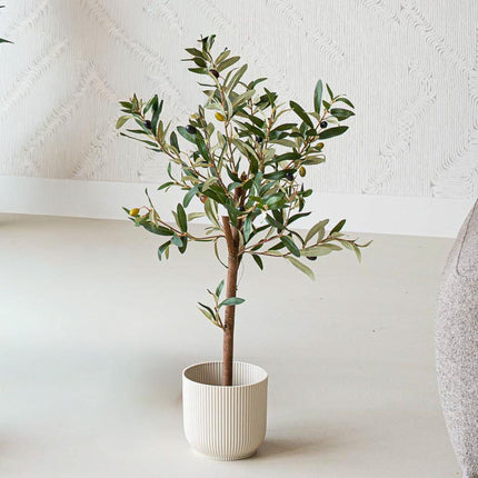 Mini Olive tree set - 3 pcs - Artificial Plants - Bundle set