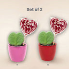 Set of 2 (pink & red)