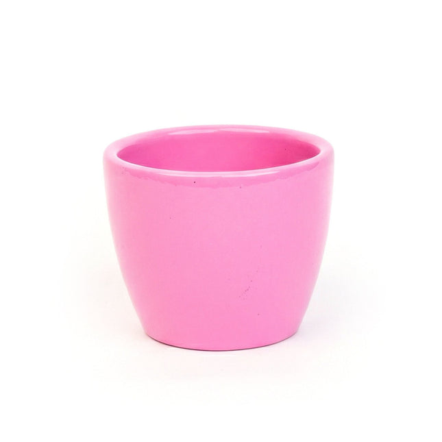 Pretty in Pink - Mini Plant Pot - Boule Pot Pink - Ø 6 cm ↑ 6 cm