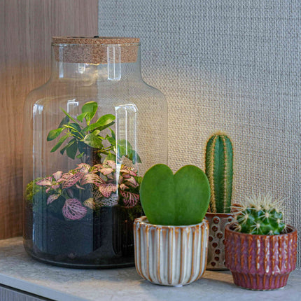 'LOVE MOM' terrarium Little Milky + Engraved cork with light - Bottle garden DIY kit - Ø 17 cm ↑ 25 cm
