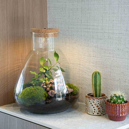 'LOVE MOM' terrarium Sam + Engraved cork with light - Bottle garden DIY kit - Ø 24.5 cm ↑ 30 cm - Mother’s Day