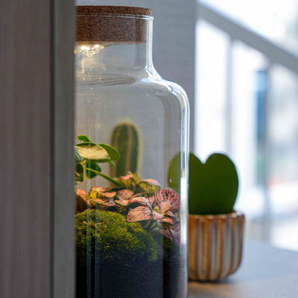 'LOVE MOM' terrarium Little Milky + Engraved cork with light - Bottle garden DIY kit - Ø 17 cm ↑ 25 cm