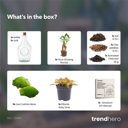 John - Open terrarium with cork - Bottle garden DIY kit - Ø 16 cm ↑ 30 cm