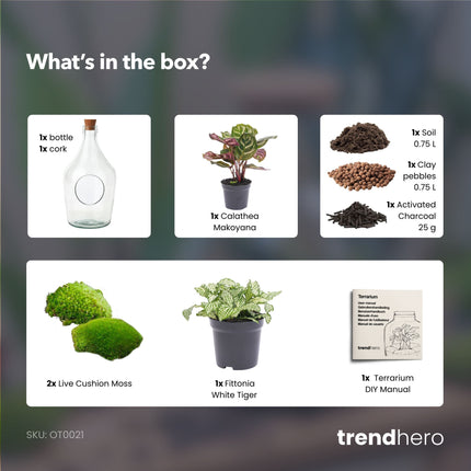 Joss - Open terrarium with cork - Bottle garden DIY kit - Ø 16 cm ↑ 30 cm