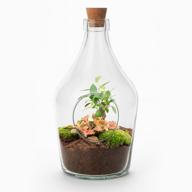 John - Open terrarium with cork - Bottle garden DIY kit - Ø 16 cm ↑ 30 cm
