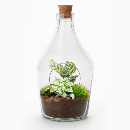 Joss - Open terrarium with cork - Bottle garden DIY kit - Ø 16 cm ↑ 30 cm
