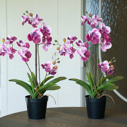 Orchid Vanda pink 2 pcs - Artificial Plants - Bundle set