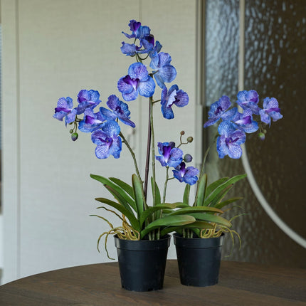 Orchid Vanda purple 2 pcs - Artificial Plants - Bundle set