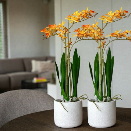 Renantera Orchid yellow/orange 2 pcs - Artificial Plants - Bundle set