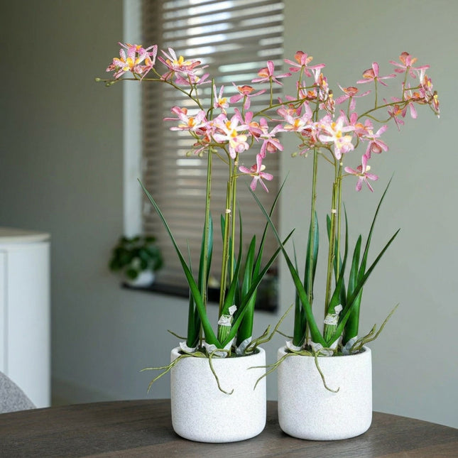 Renantera Orchid pink 2 pcs - Artificial Plants - Bundle set