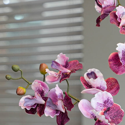Orchid Vanda pink 2 pcs - Artificial Plants - Bundle set
