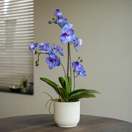 Orchid Vanda purple 2 pcs - Artificial Plants - Bundle set