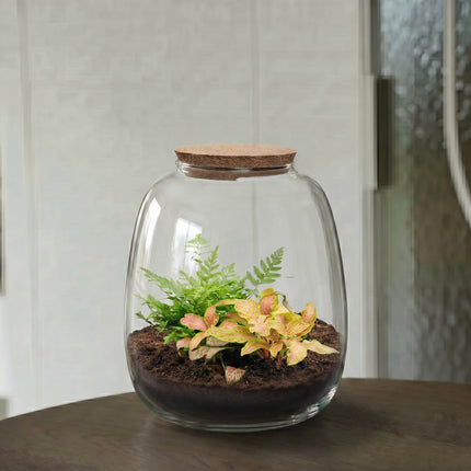 Emma Mini - Fittonia Ruby Lime + Fern - Terrarium with cork - Bottle garden DIY kit - Ø 19 cm ↑ 20 cm