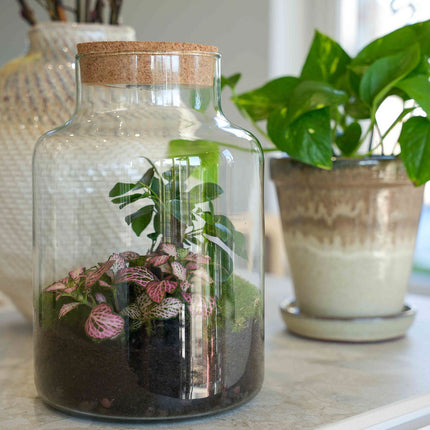 'LOVE MOM' terrarium Little Milky + Engraved cork with light - Bottle garden DIY kit - Ø 17 cm ↑ 25 cm