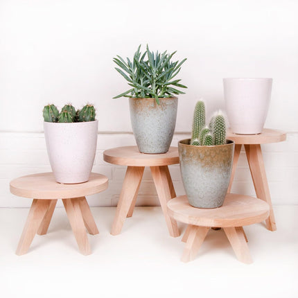 Tibbe - Wooden plant or terrarium stand - Set of 2 - Plant tables - 12 & 17 cm