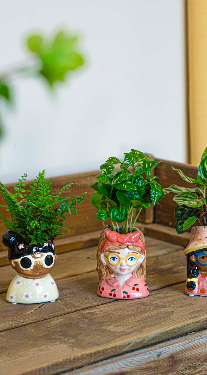 <h1><strong>De online groothandel en leverancier in <br/>terraria, planten en natuurlijke decoratie</strong></h1>