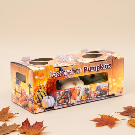 Real Pumpkin Giftbox - 7 Unique Ornamental Fruit - Ø 8 cm