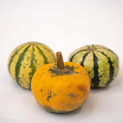 Pumpkin mini set (3 pcs, 6–8 cm) -  Natural autumn decoration