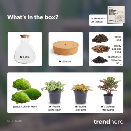 Sam Calathea - Terrarium with light - Bottle garden DIY kit - Ø 24.5 cm ↑ 30 cm