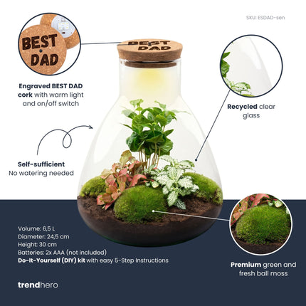 Father's Day terrarium Sam + Custom engraved cork with light - Bottle garden DIY kit - Ø 24.5 cm ↑ 30 cm
