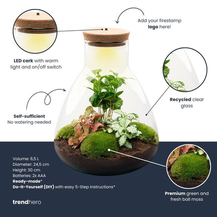 Terrarium Sam - Ø 24,5 cm ↑ 30 cm - Relatiegeschenk