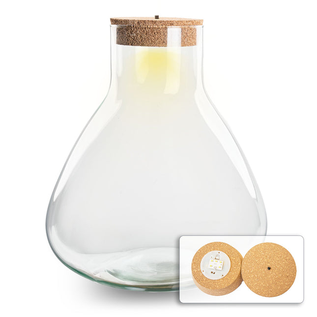 Terrarium with cork - Sam XL with led cork - ↑ 35 cm