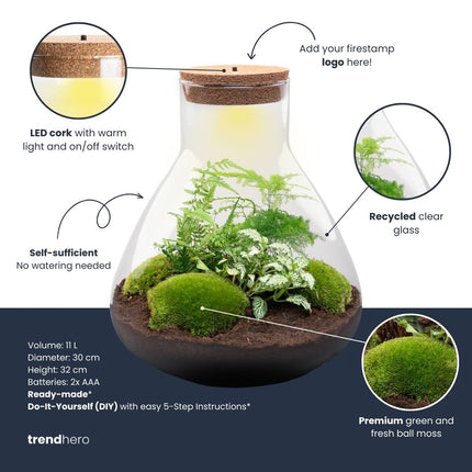 Terrarium Sam XL - Ø 30 cm ↑ 32 cm - Relatiegeschenk