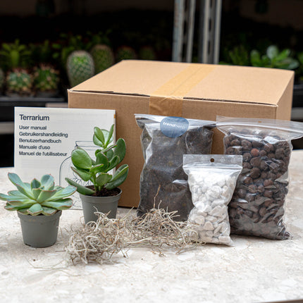 Terrarium kit with plants, substrate, and tools on a table