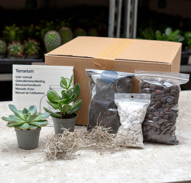 Terrarium kit with plants, substrate, and tools on a table