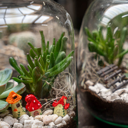 Little Milky Succulent - Open terrarium - Bottle garden DIY kit - Ø 17 cm ↑ 25 cm