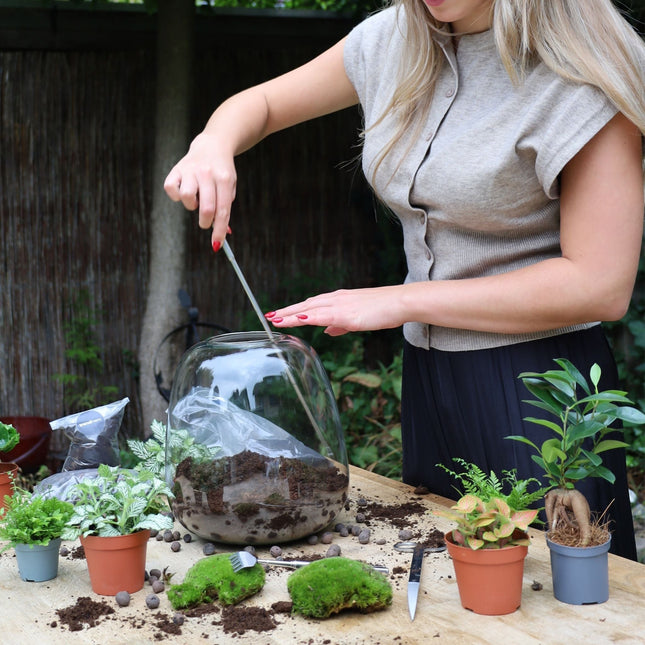 Terrarium configurator - Build your own bottle garden