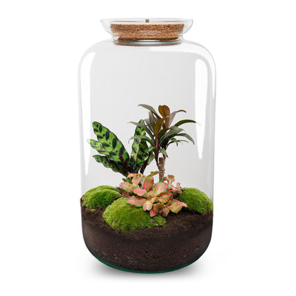 Sven XL Palm - Terrarium with light - Bottle garden DIY kit - Ø 23 cm ↑ 43 cm
