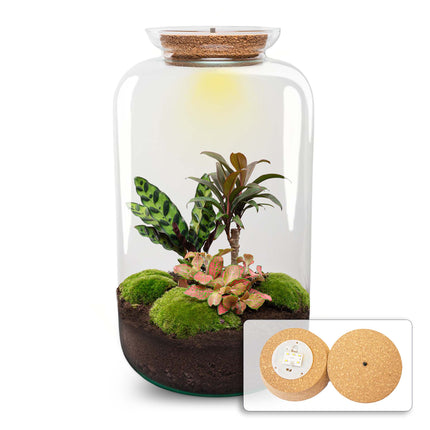 Sven XL Palm - Terrarium with light - Bottle garden DIY kit - Ø 23 cm ↑ 43 cm