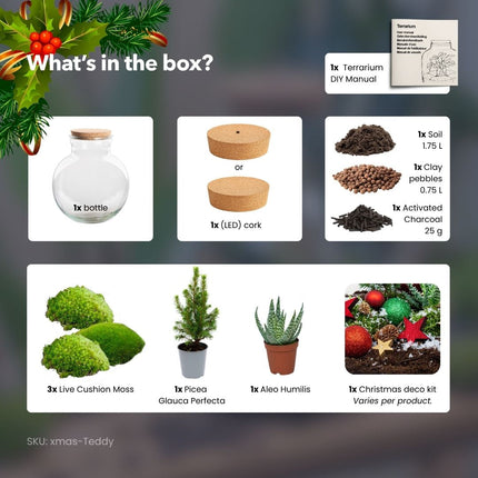 Jingle Christmas terrarium - Bottle garden DIY kit - Ø 25 cm ↑ 26,5 cm