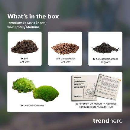 Terrarium Package  – Refill & Starter Package  – DIY Terrarium Kit – Size S/M